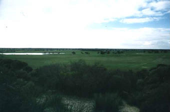 #1: A view to the NW from the sandhill within 50m of confluence.