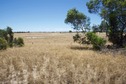 #3: View North (towards farmland)