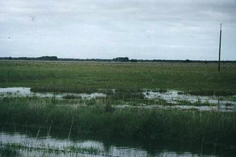 #1: From the side road looking east to the confluence.