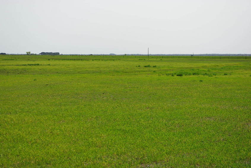 Looking North from the Confluence