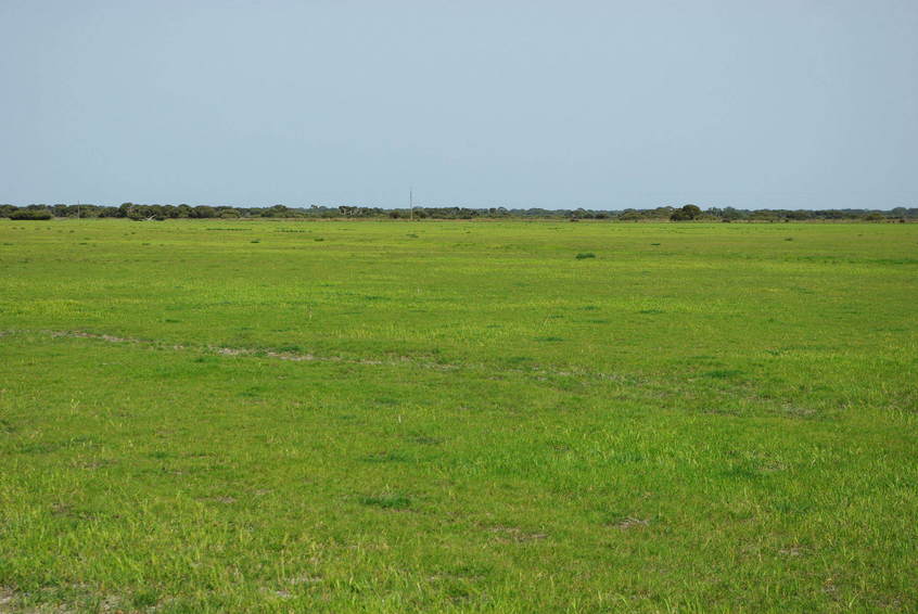 Looking West from the Confluence