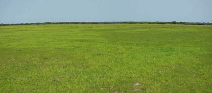 #1: General View of Confluence Area