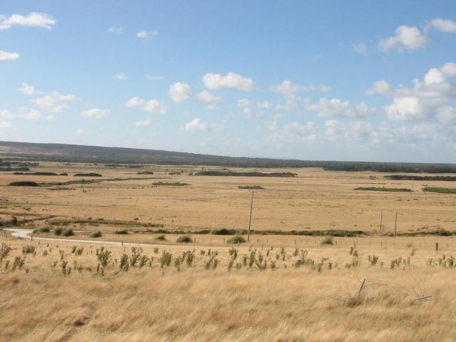 Looking North from the Confluence