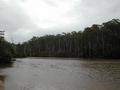 #5: Ringarooma River