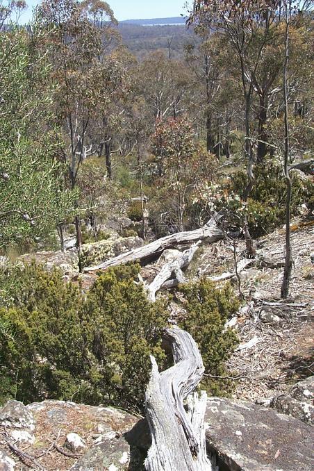 View to the West with glimpses of Arthurs Lake