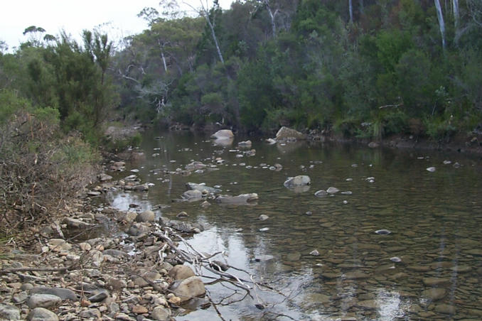 The nearby creek