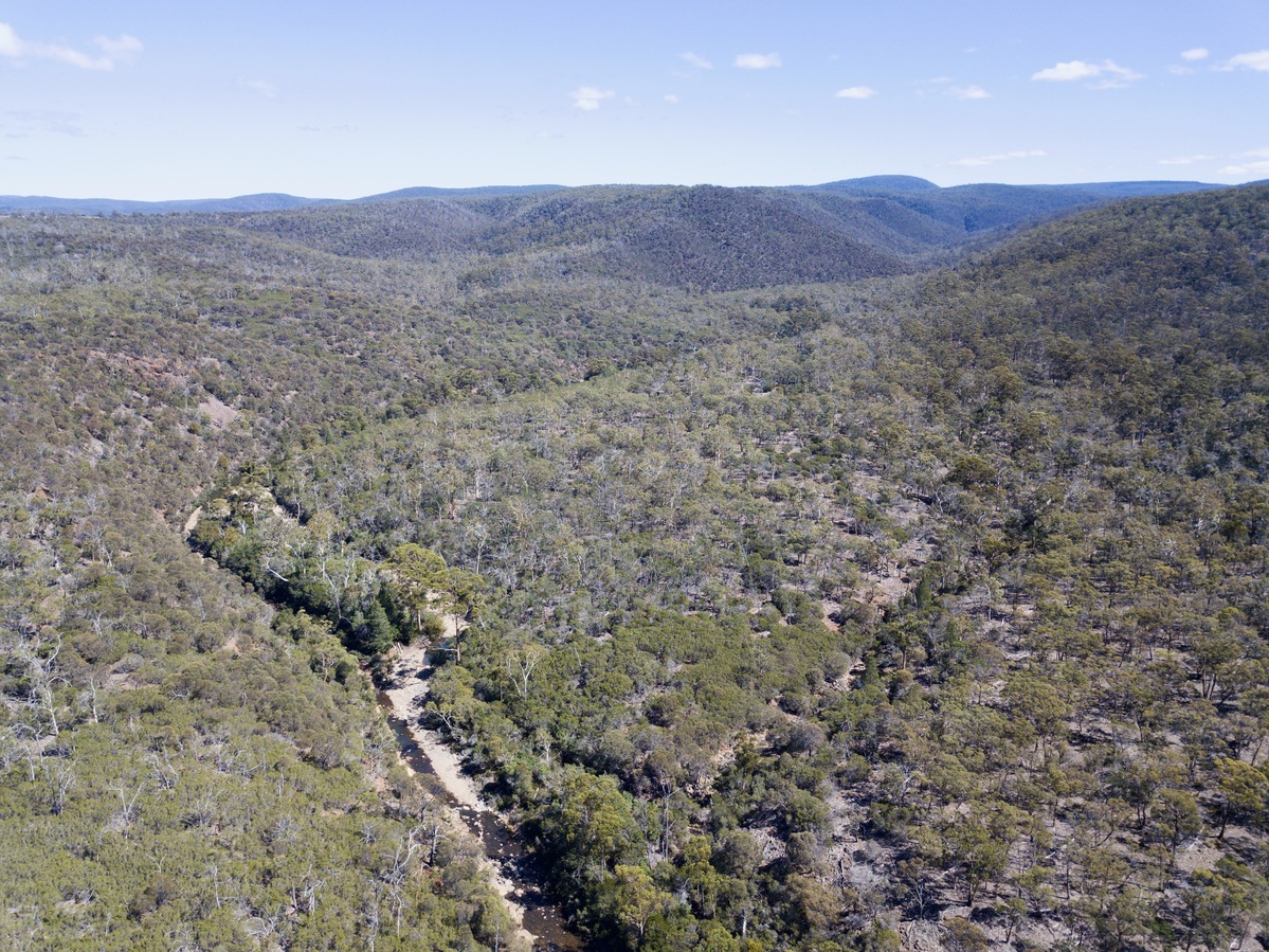 View West, from 120m above the point