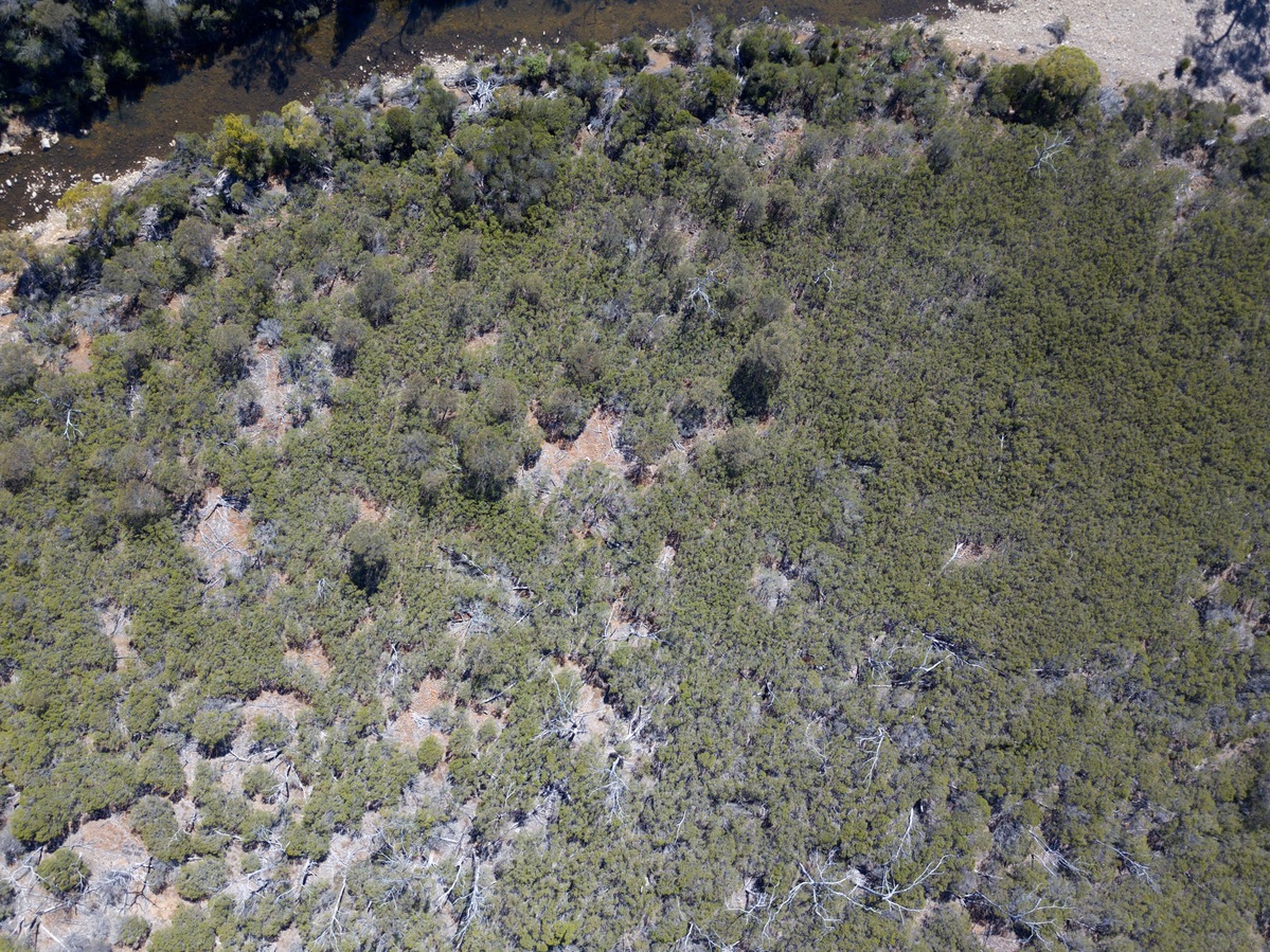 Looking down on the point from a height of 120m.  (The Brushy River is visible at the top of the image)