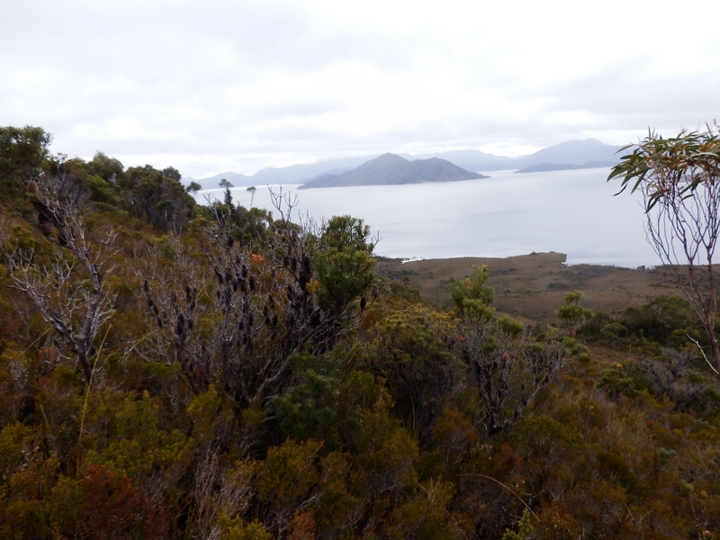 View to Lake Pedder