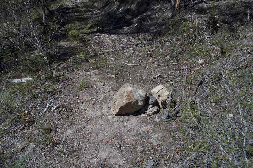 The confluence point lies on this old road cut.