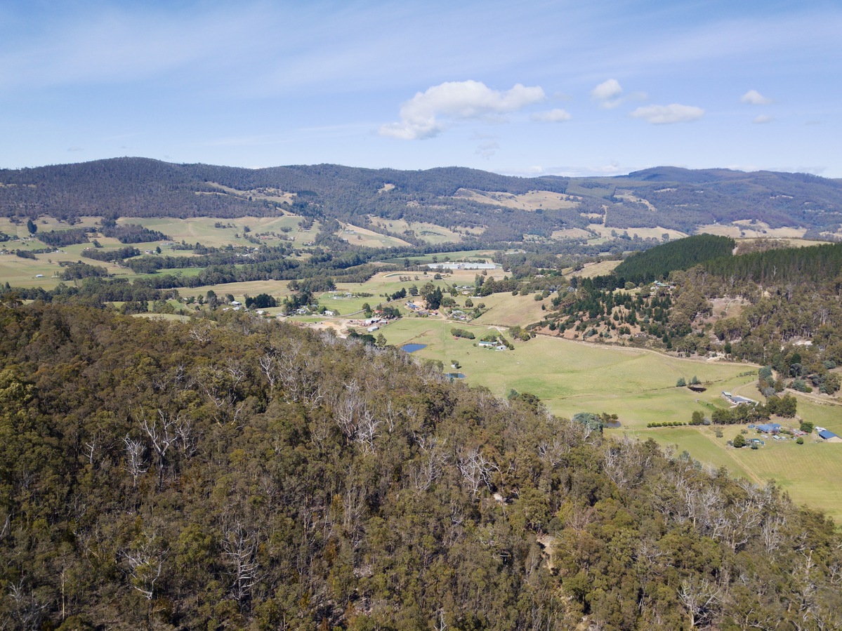 View South, from 120m above the point