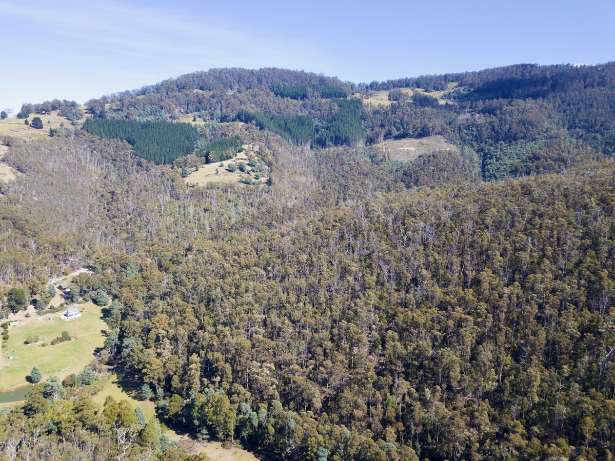 View West, from 120m above the point