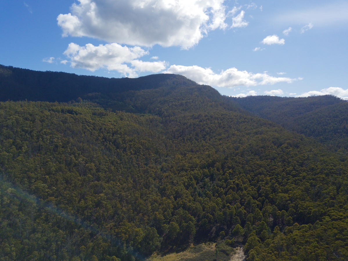 View North, from 120m above the point