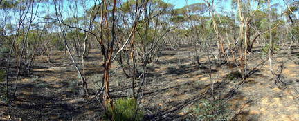 #1: Looking towards the Confluence from 3 Metres