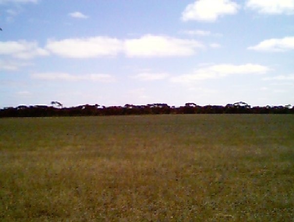 View north from the confluence