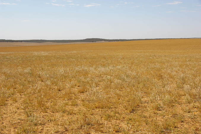 Looking East From Confluence