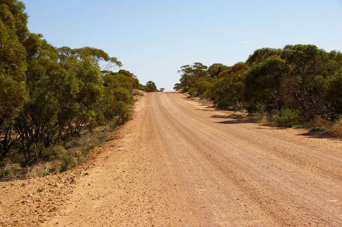 Type of Vegetation on Meridian Road