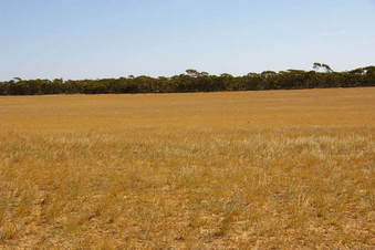 #1: Looking North From Confluence