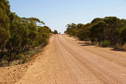 #8: Type of Vegetation on Meridian Road