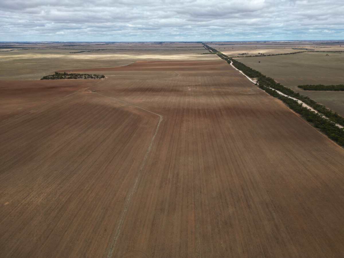 View South, from 120m above the point