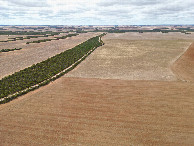 #9: View East, from 120m above the point