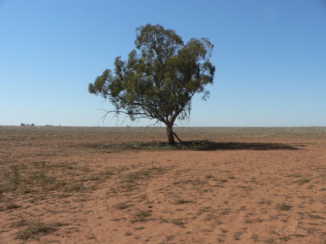 Looking south