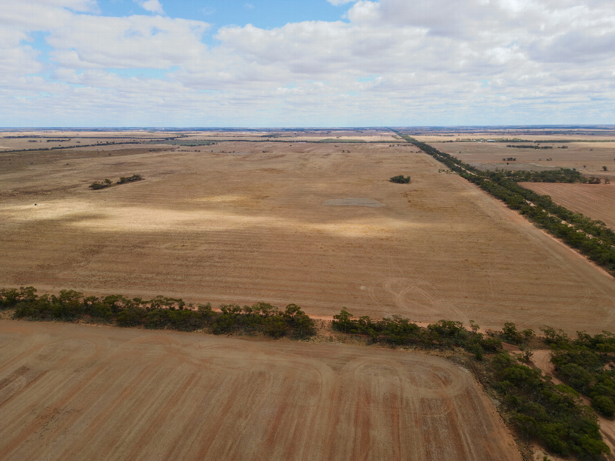 View West, from 120m above the point