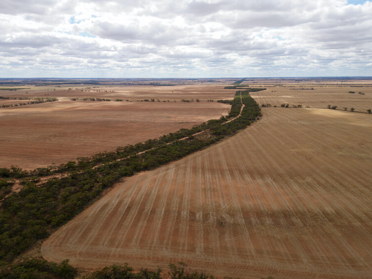 View North, from 120m above the point