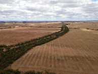 #8: View North, from 120m above the point