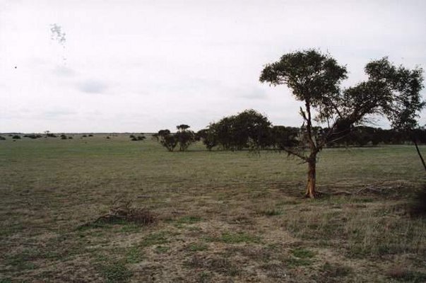 View looking north.