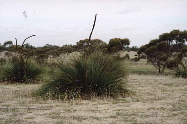 View looking south.