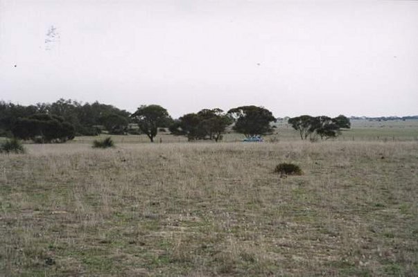 Looking west with car in distance.