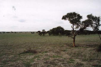 #1: View looking north.