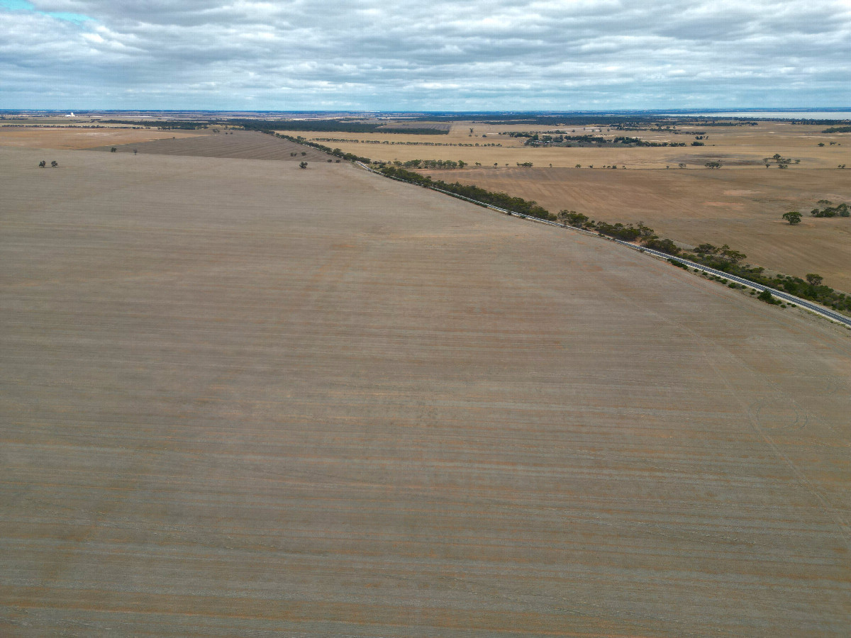 View South, from 120m above the point