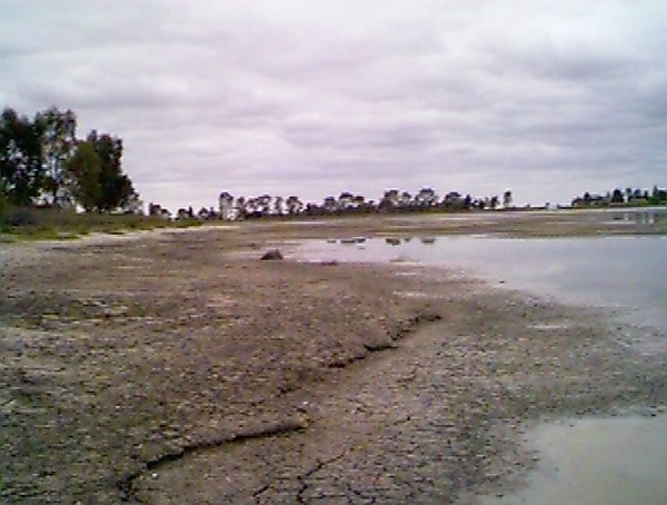 View north from the confluence