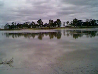 #1: View east from the confluence