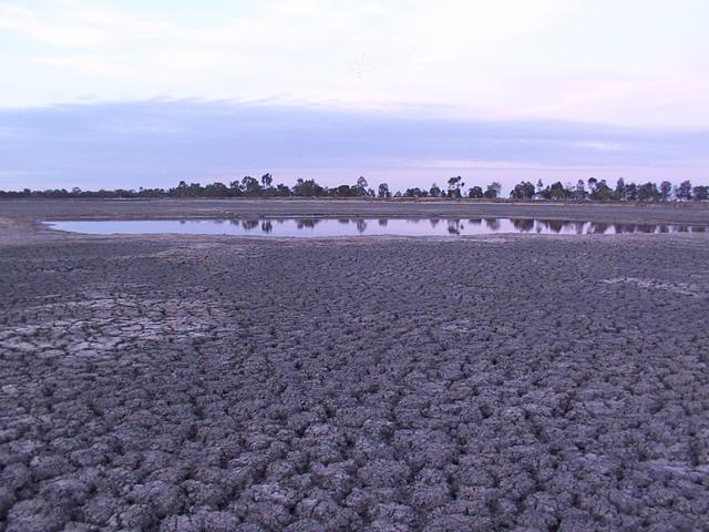 The last remaining water in the lake