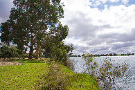 #2: View North, from 54m West of the point