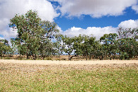 #4: View West, from 54m West of the point