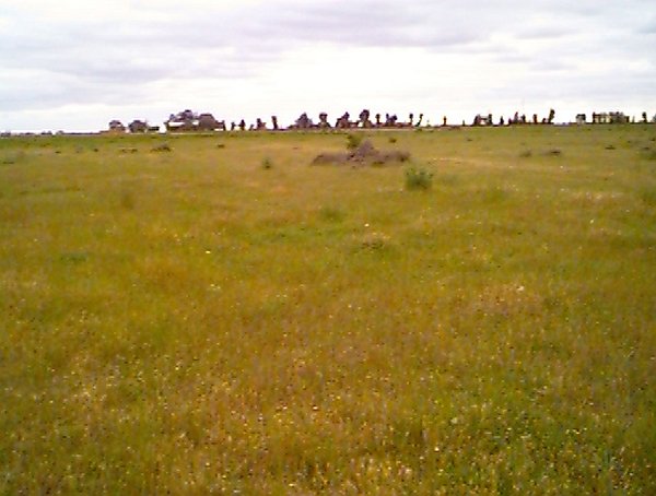 View west from the confluence