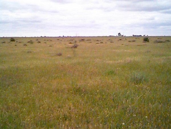 View north from the confluence