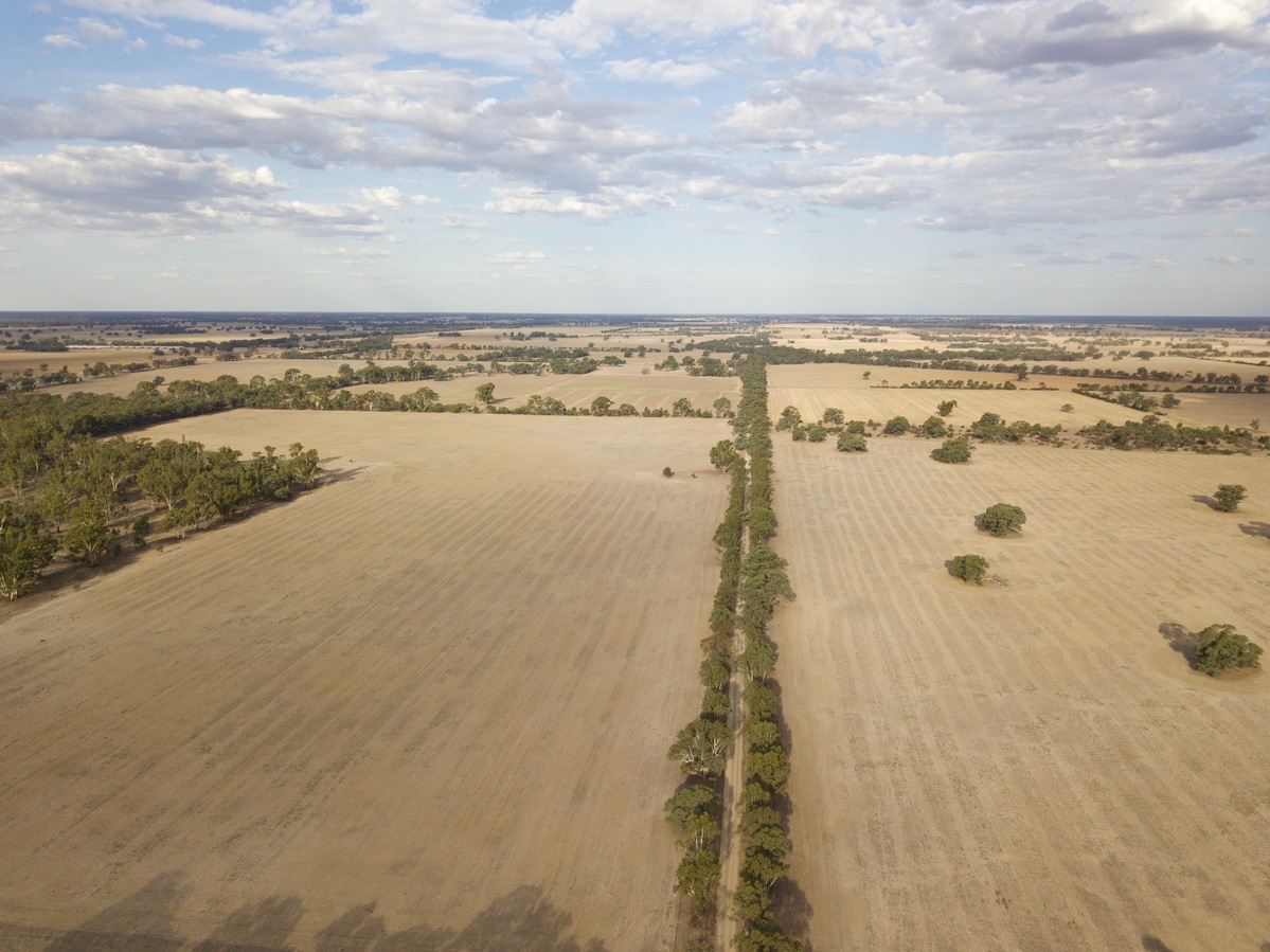 View East, from Myers Lane, 100 m North of the point