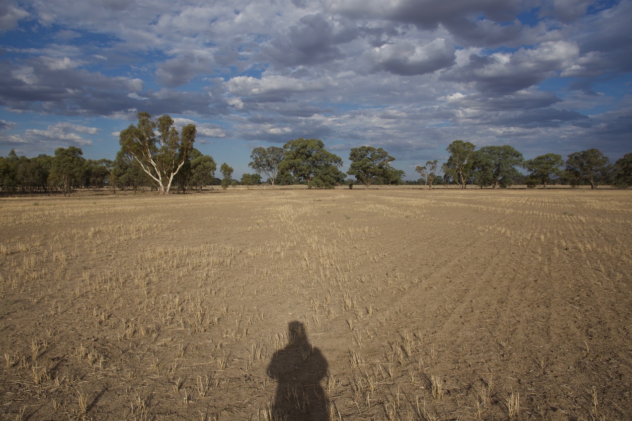 View East (of my shadow)