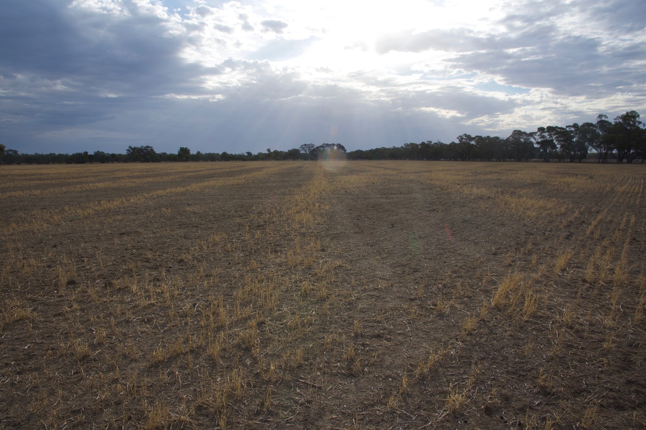 View West (into the late afternoon Sun)