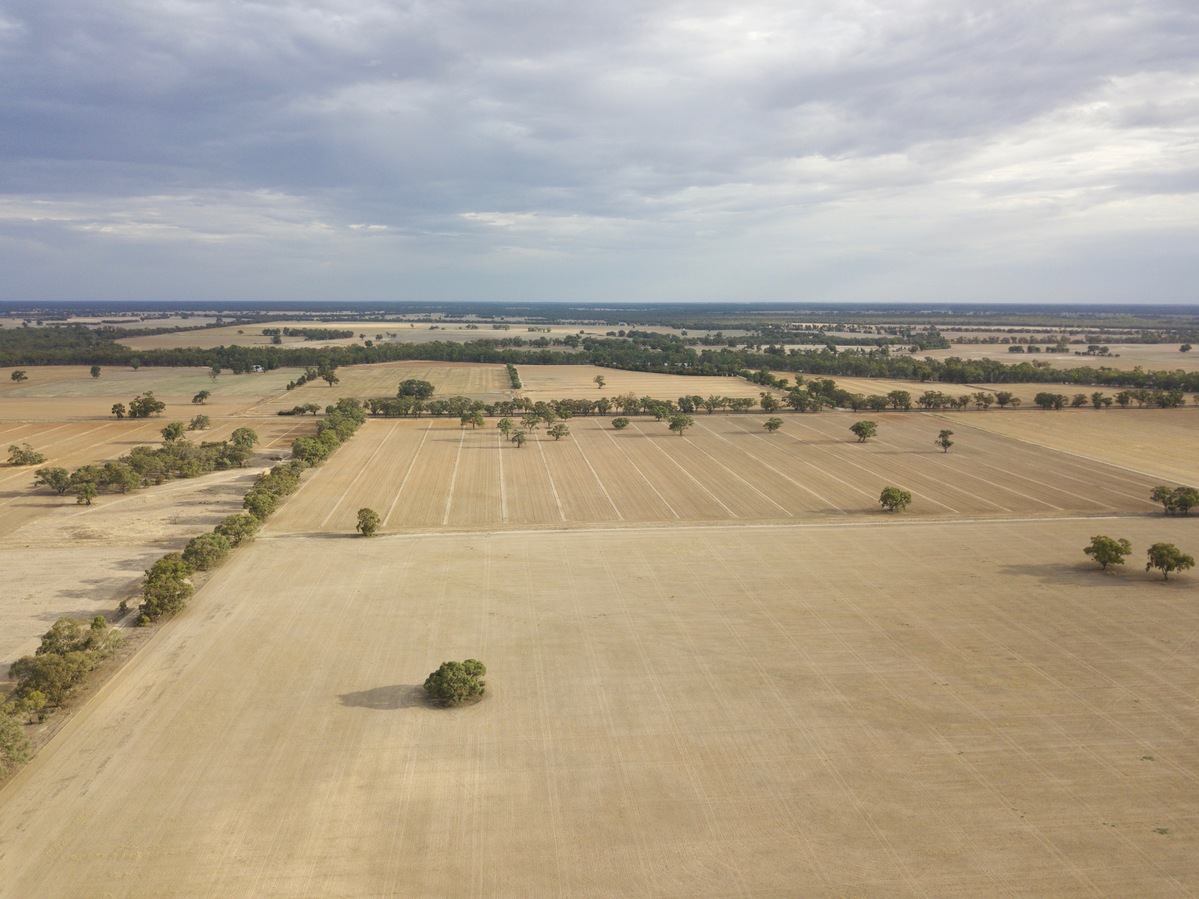 View South, from Myers Lane, 100 m North of the point