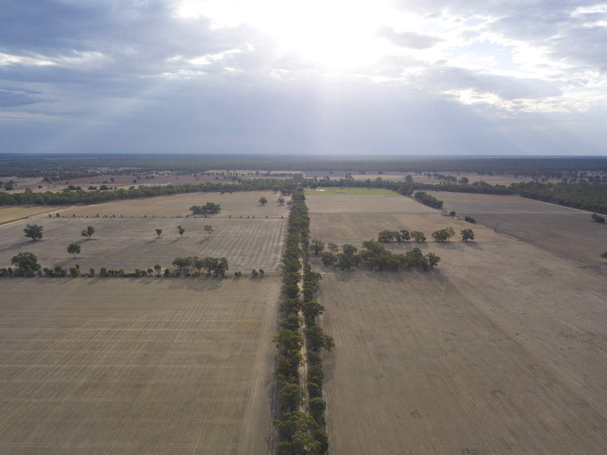 View West, from Myers Lane, 100 m North of the point