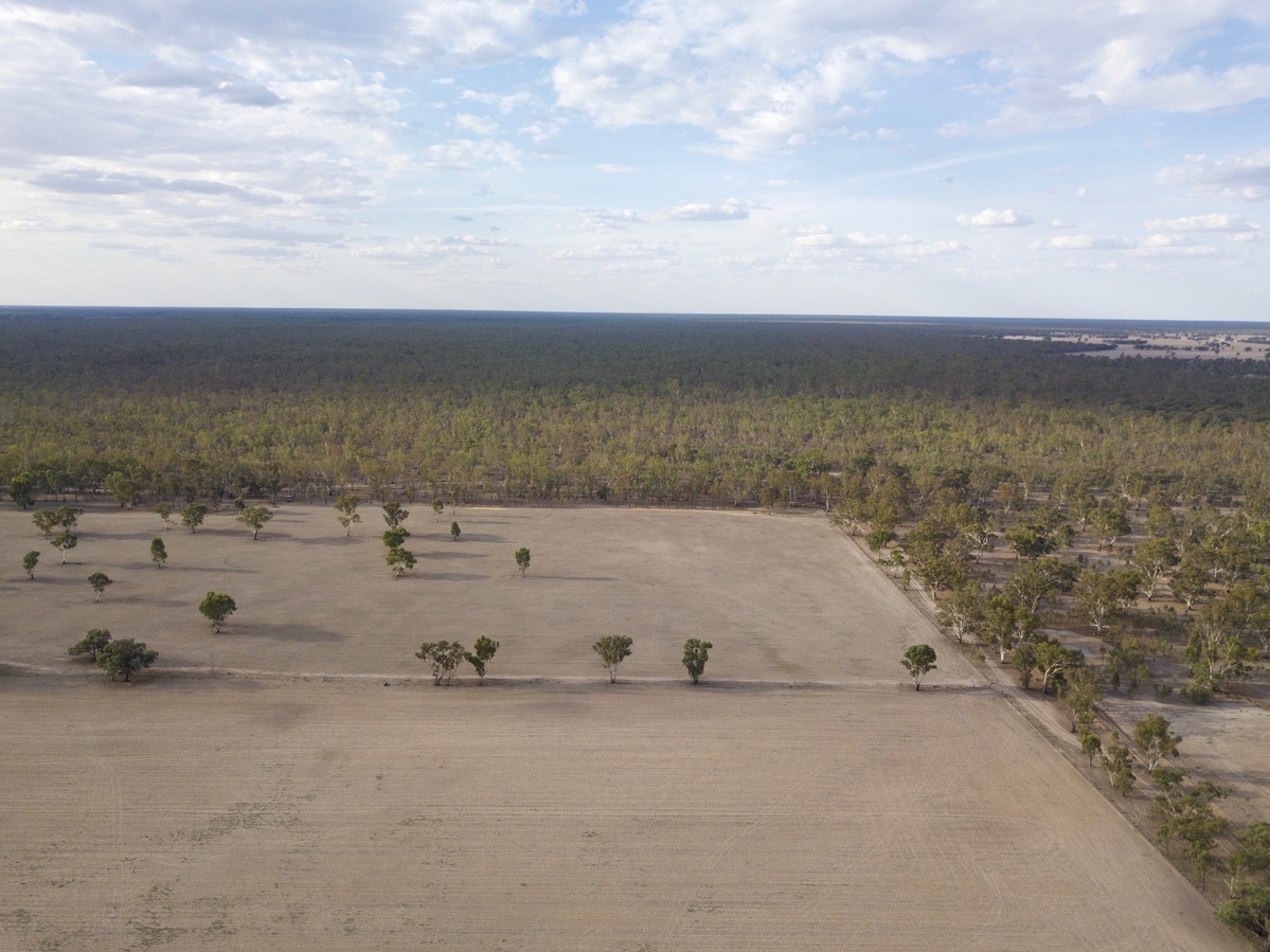 View North, from Myers Lane, 100 m North of the point