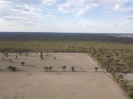 #9: View North, from Myers Lane, 100 m North of the point