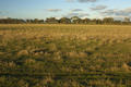 #2: View E from confluence (red car in trees mid-left)