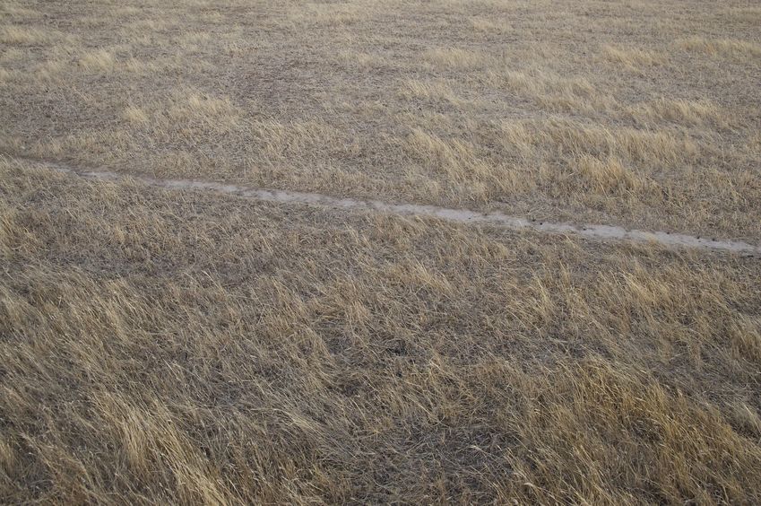 The confluence point lies in a pasture.  (The straight line appears to be a dirt bike track.)